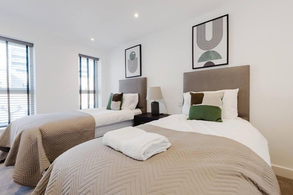 4-Level Luxury 2 Bedroom House Sleeps 6, Rooftop, Harry P & Free Parking Γουάτφορντ Εξωτερικό φωτογραφία